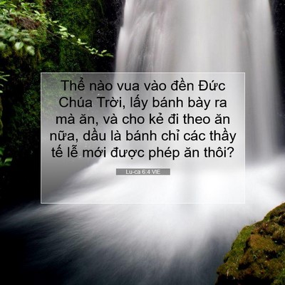 Picture 07 - Lu-ca 6:4 VIE - Thể nào vua vào đền Đức Chúa Trời, - Bible Verse Picture