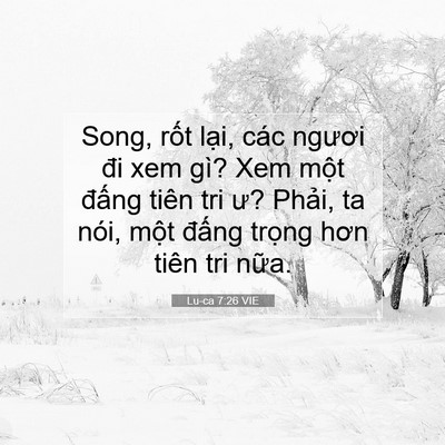 Picture 07 - Lu-ca 7:26 VIE - Song, rốt lại, các ngươi đi xem gì? Xem - Bible Verse Picture