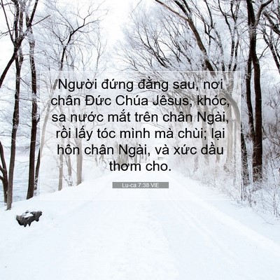 Picture 07 - Lu-ca 7:38 VIE - Người đứng đằng sau, nơi chân Đức - Bible Verse Picture