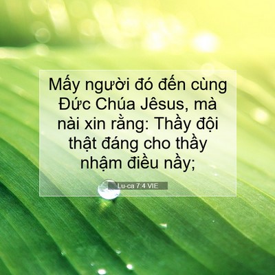 Picture 07 - Lu-ca 7:4 VIE - Mấy người đó đến cùng Đức Chúa - Bible Verse Picture
