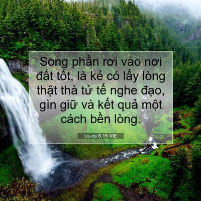 Picture 07 - Lu-ca 8:15 VIE - Song phần rơi vào nơi đất tốt, là kẻ - Bible Verse Picture