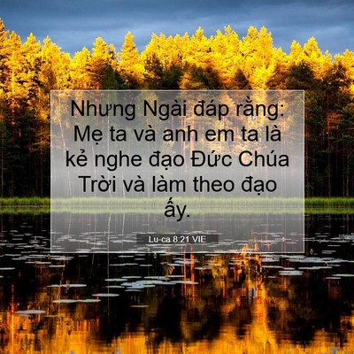 Picture 07 - Lu-ca 8:21 VIE - Nhưng Ngài đáp rằng: Mẹ ta và anh em ta - Bible Verse Picture