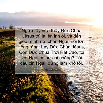 Picture 07 - Lu-ca 8:28 VIE - Người ấy vừa thấy Đức Chúa Jêsus - Bible Verse Picture
