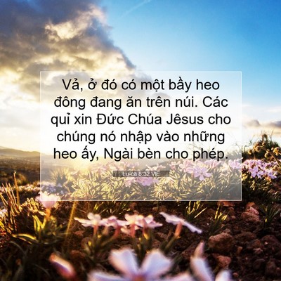 Picture 07 - Lu-ca 8:32 VIE - Vả, ở đó có một bầy heo đông đang - Bible Verse Picture