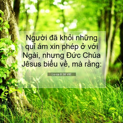 Picture 07 - Lu-ca 8:38 VIE - Người đã khỏi những quỉ ám xin phép - Bible Verse Picture