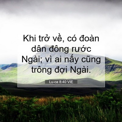 Picture 07 - Lu-ca 8:40 VIE - Khi trở về, có đoàn dân đông rước - Bible Verse Picture