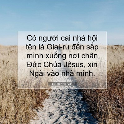 Picture 07 - Lu-ca 8:41 VIE - Có người cai nhà hội tên là Giai-ru - Bible Verse Picture