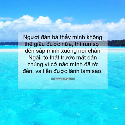 Picture 07 - Lu-ca 8:47 VIE - Người đàn bà thấy mình không thể - Bible Verse Picture