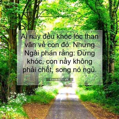 Picture 07 - Lu-ca 8:52 VIE - Ai nấy đều khóc lóc than vãn về con - Bible Verse Picture