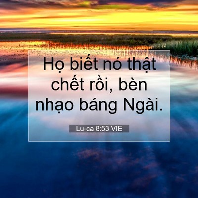 Picture 07 - Lu-ca 8:53 VIE - Họ biết nó thật chết rồi, bèn nhạo - Bible Verse Picture