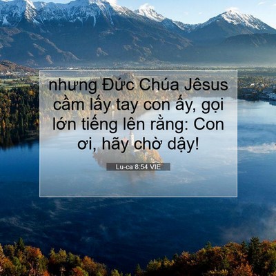 Picture 07 - Lu-ca 8:54 VIE - nhưng Đức Chúa Jêsus cầm lấy tay con - Bible Verse Picture
