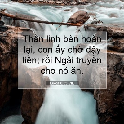 Picture 07 - Lu-ca 8:55 VIE - Thần linh bèn hoàn lại, con ấy chờ - Bible Verse Picture
