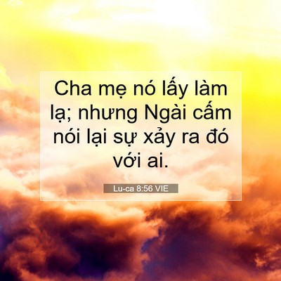 Picture 07 - Lu-ca 8:56 VIE - Cha mẹ nó lấy làm lạ; nhưng Ngài cấm - Bible Verse Picture