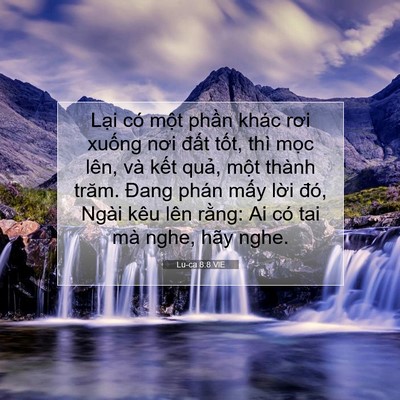 Picture 07 - Lu-ca 8:8 VIE - Lại có một phần khác rơi xuống nơi - Bible Verse Picture