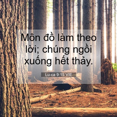 Picture 07 - Lu-ca 9:15 VIE - Môn đồ làm theo lời; chúng ngồi xuống - Bible Verse Picture