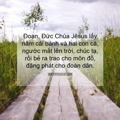 Picture 07 - Lu-ca 9:16 VIE - Đoạn, Đức Chúa Jêsus lấy năm cái - Bible Verse Picture