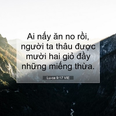 Picture 07 - Lu-ca 9:17 VIE - Ai nấy ăn no rồi, người ta thâu được - Bible Verse Picture