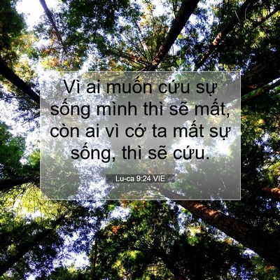 Picture 07 - Lu-ca 9:24 VIE - Vì ai muốn cứu sự sống mình thì sẽ - Bible Verse Picture