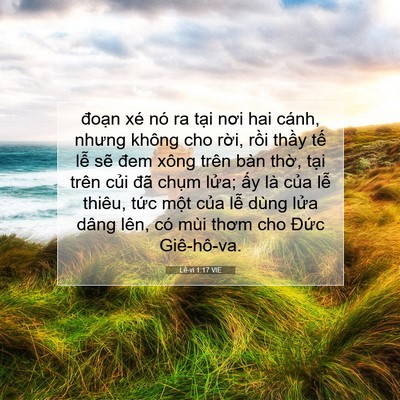 Picture 07 - Lê-vi 1:17 VIE - đoạn xé nó ra tại nơi hai cánh, nhưng - Bible Verse Picture