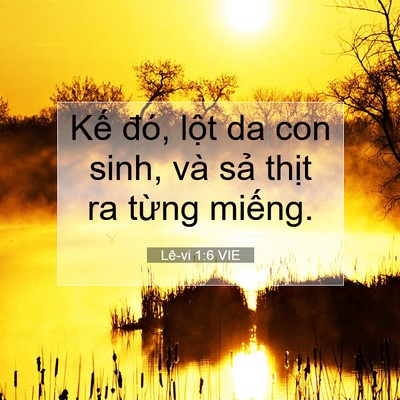 Picture 07 - Lê-vi 1:6 VIE - Kế đó, lột da con sinh, và sả thịt ra - Bible Verse Picture