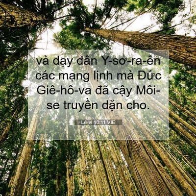 Picture 07 - Lê-vi 10:11 VIE - và dạy dân Y-sơ-ra-ên các mạng lịnh - Bible Verse Picture