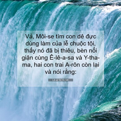 Picture 07 - Lê-vi 10:16 VIE - Vả, Môi-se tìm con dê đực dùng làm - Bible Verse Picture