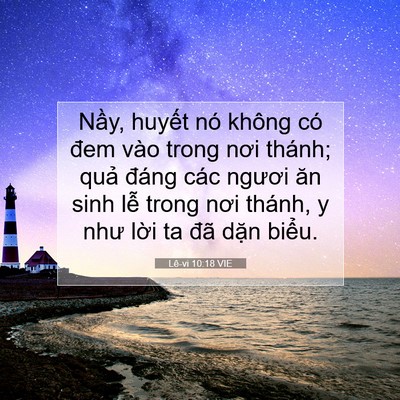 Picture 07 - Lê-vi 10:18 VIE - Nầy, huyết nó không có đem vào trong - Bible Verse Picture