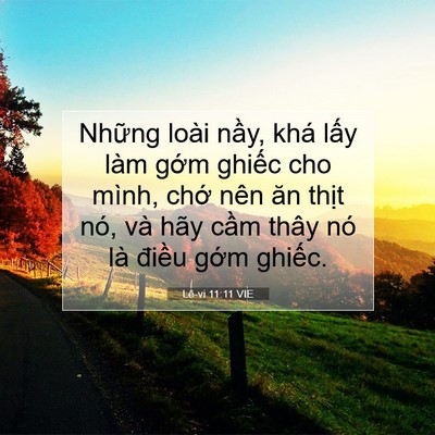Picture 07 - Lê-vi 11:11 VIE - Những loài nầy, khá lấy làm gớm - Bible Verse Picture