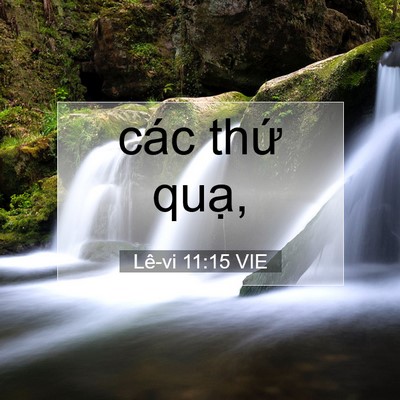Picture 07 - Lê-vi 11:15 VIE - các thứ - Bible Verse Picture