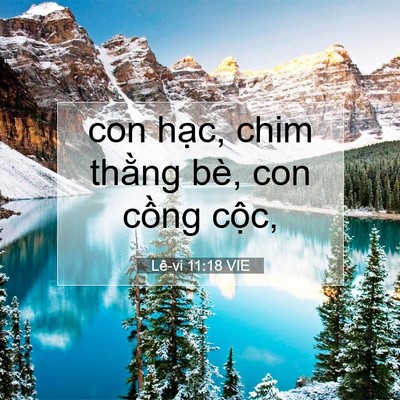 Picture 07 - Lê-vi 11:18 VIE - con hạc, chim thằng bè, con cồng - Bible Verse Picture