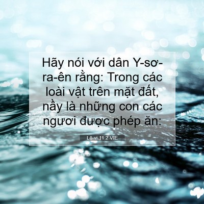 Picture 07 - Lê-vi 11:2 VIE - Hãy nói với dân Y-sơ-ra-ên rằng: Trong - Bible Verse Picture