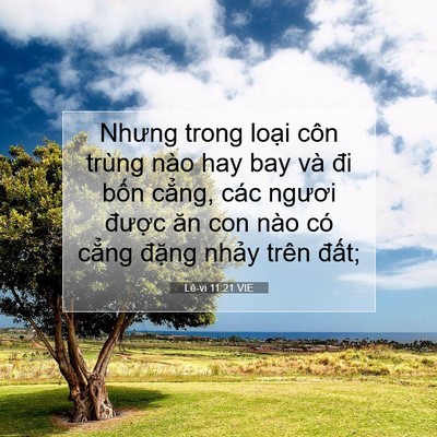 Picture 07 - Lê-vi 11:21 VIE - Nhưng trong loại côn trùng nào hay bay và - Bible Verse Picture
