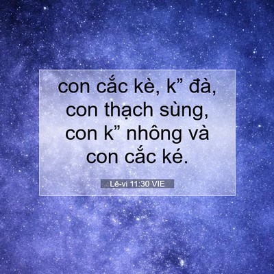 Picture 07 - Lê-vi 11:30 VIE - con cắc kè, k” đà, con thạch sùng, con - Bible Verse Picture