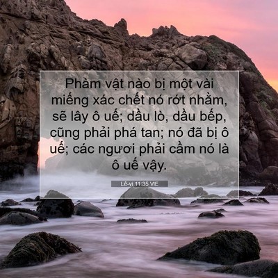 Picture 07 - Lê-vi 11:35 VIE - Phàm vật nào bị một vài miếng xác - Bible Verse Picture