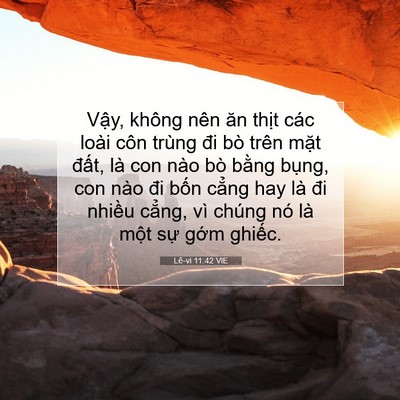 Picture 07 - Lê-vi 11:42 VIE - Vậy, không nên ăn thịt các loài côn - Bible Verse Picture