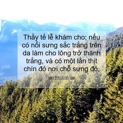 Picture 07 - Lê-vi 13:10 VIE - Thầy tế lễ khám cho; nếu có nổi sưng - Bible Verse Picture