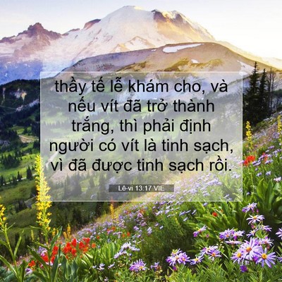 Picture 07 - Lê-vi 13:17 VIE - thầy tế lễ khám cho, và nếu vít đã - Bible Verse Picture