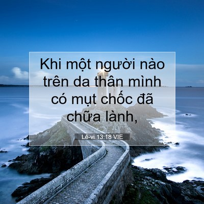 Picture 07 - Lê-vi 13:18 VIE - Khi một người nào trên da thân mình có - Bible Verse Picture