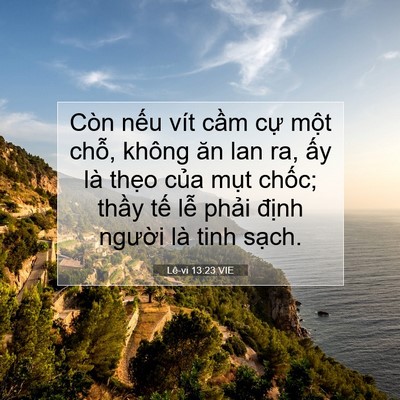 Picture 07 - Lê-vi 13:23 VIE - Còn nếu vít cầm cự một chỗ, không - Bible Verse Picture