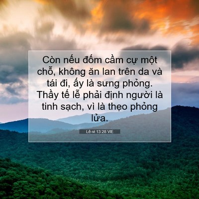 Picture 07 - Lê-vi 13:28 VIE - Còn nếu đốm cầm cự một chỗ, không - Bible Verse Picture
