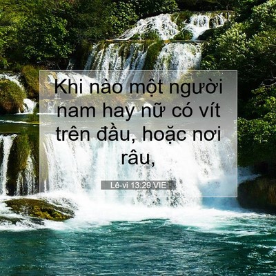 Picture 07 - Lê-vi 13:29 VIE - Khi nào một người nam hay nữ có vít - Bible Verse Picture