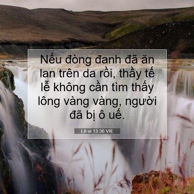 Picture 07 - Lê-vi 13:36 VIE - Nếu đòng đanh đã ăn lan trên da rồi, - Bible Verse Picture