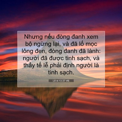 Picture 07 - Lê-vi 13:37 VIE - Nhưng nếu đòng đanh xem bộ ngừng lại, - Bible Verse Picture