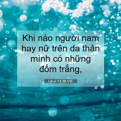 Picture 07 - Lê-vi 13:38 VIE - Khi nào người nam hay nữ trên da thân - Bible Verse Picture