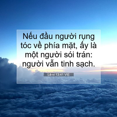 Picture 07 - Lê-vi 13:41 VIE - Nếu đầu người rụng tóc về phía - Bible Verse Picture