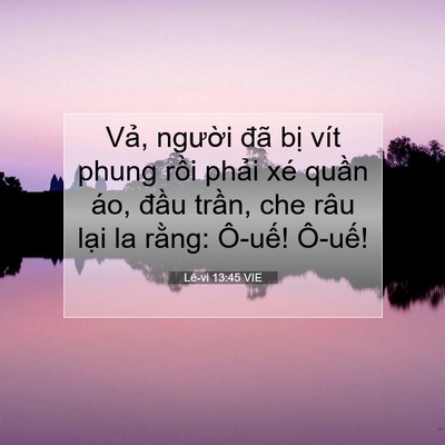 Picture 07 - Lê-vi 13:45 VIE - Vả, người đã bị vít phung rồi phải - Bible Verse Picture