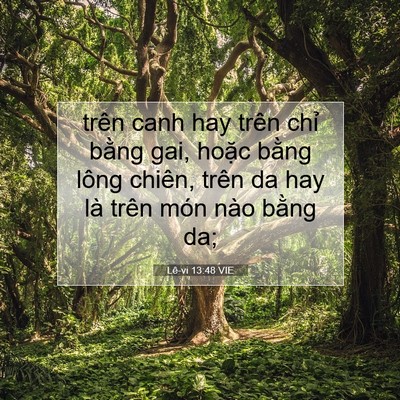 Picture 07 - Lê-vi 13:48 VIE - trên canh hay trên chỉ bằng gai, hoặc - Bible Verse Picture