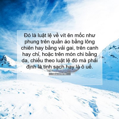 Picture 07 - Lê-vi 13:59 VIE - Đó là luật lệ về vít ên mốc như - Bible Verse Picture