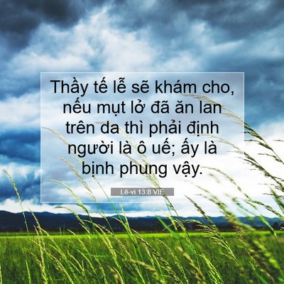 Picture 07 - Lê-vi 13:8 VIE - Thầy tế lễ sẽ khám cho, nếu mụt lở - Bible Verse Picture