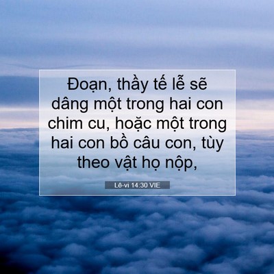 Picture 07 - Lê-vi 14:30 VIE - Đoạn, thầy tế lễ sẽ dâng một trong - Bible Verse Picture